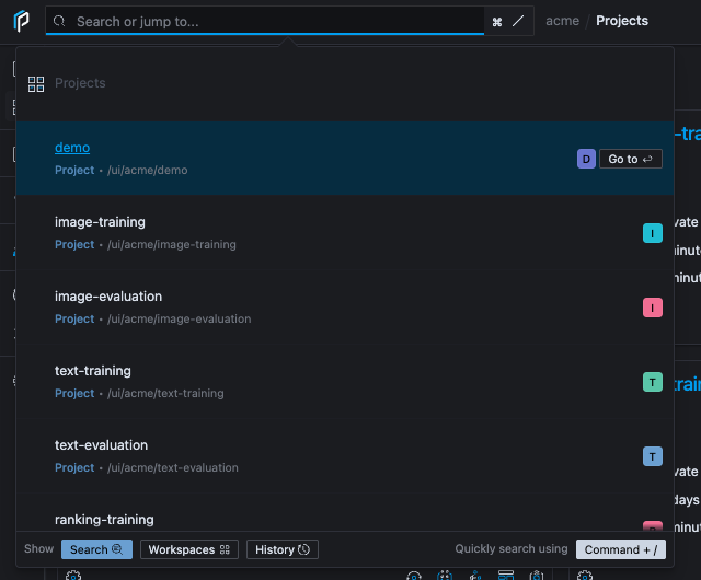 Project search in the acme organization space showing projects across teams