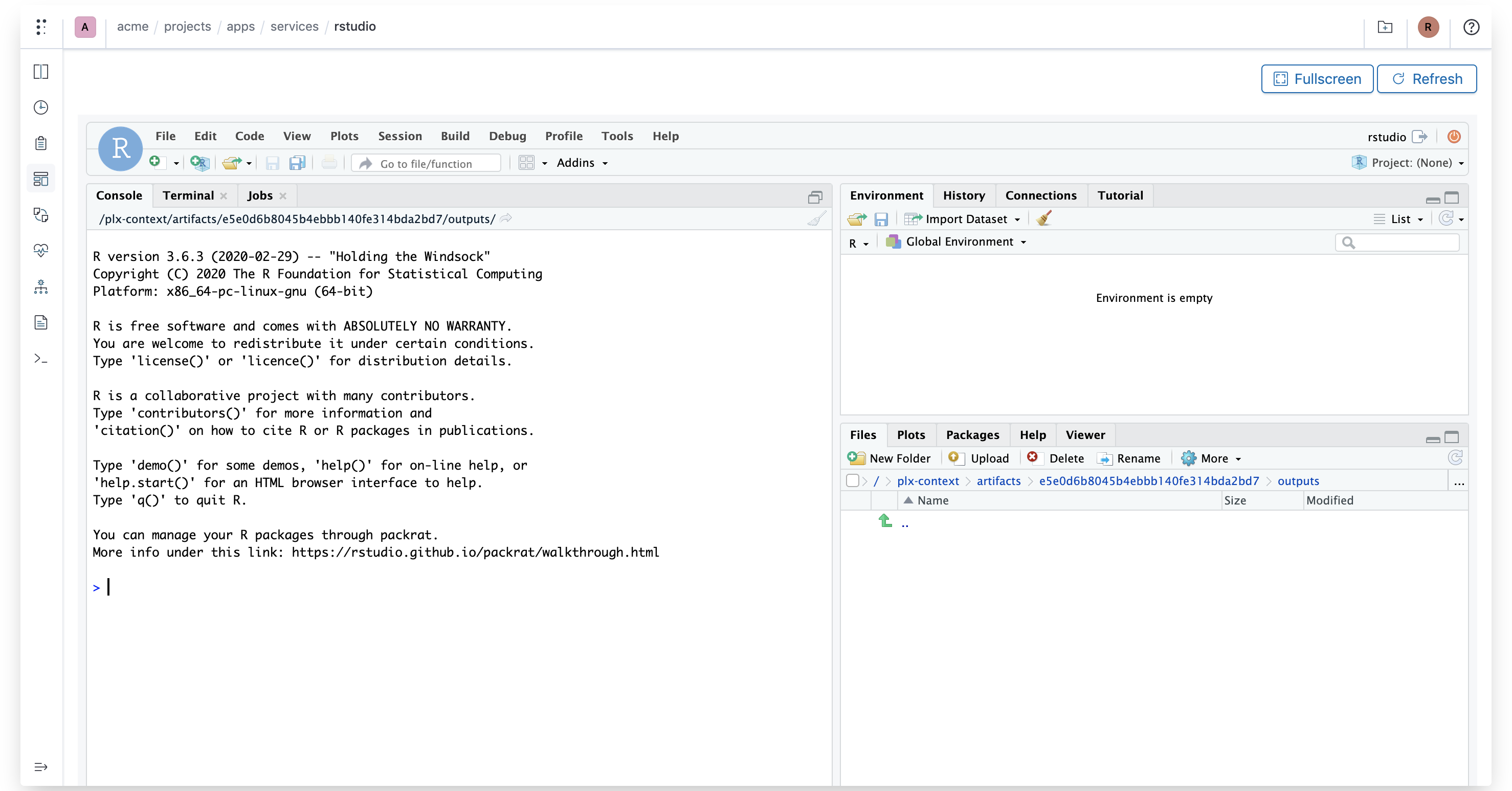 rstudio-service-light