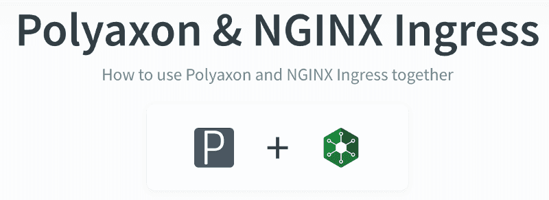 Polyaxon and NGINX ingress documentation